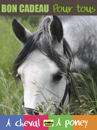 Bon cadeau equitation