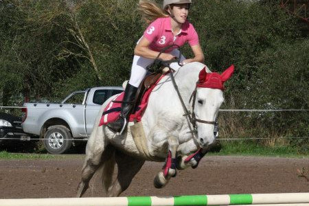 Cheval equitation
