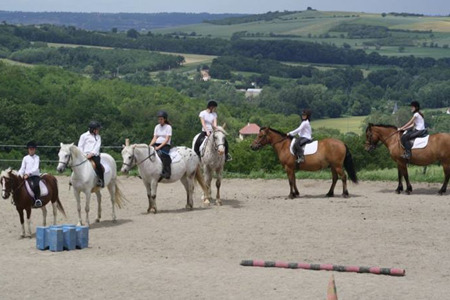Cheval equitation