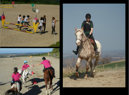 Centre equestre Equitation de loisirs pour tous