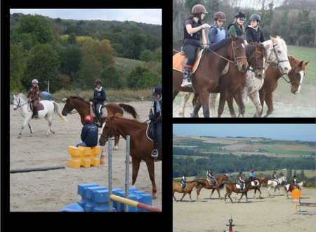 Centre equestre Equitation de loisirs pour tous