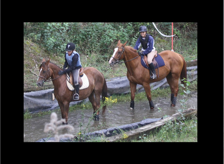 Centre equestre Equitation de loisirs pour tous