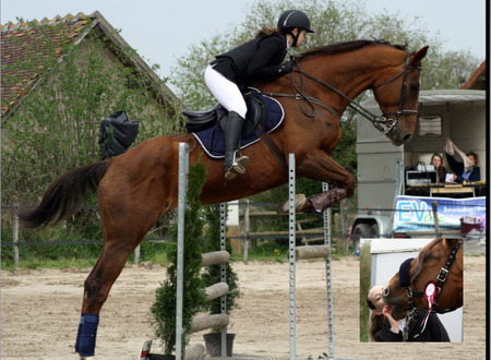 Centre equestre Equitation de loisirs pour tous