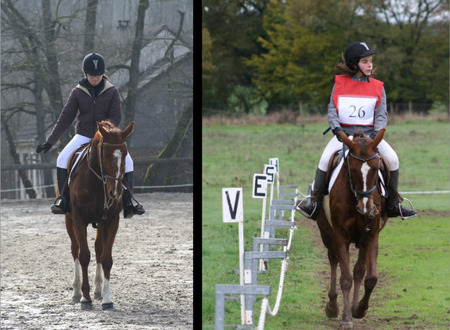 Centre equestre Equitation de loisirs pour tous