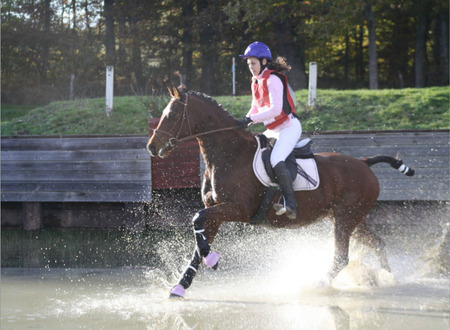 Centre equestre Equitation de loisirs pour tous