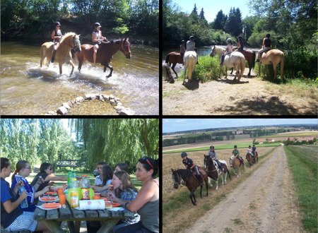 Centre equestre Equitation de loisirs pour tous