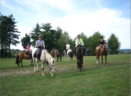 Centre equestre Equitation de loisirs pour tous