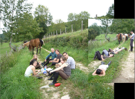 Centre equestre Equitation de loisirs pour tous