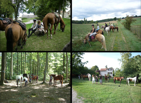 Centre equestre Equitation de loisirs pour tous