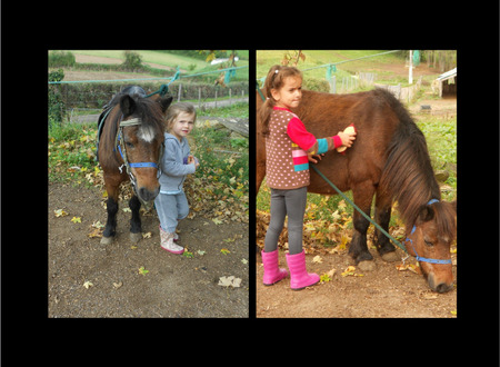 Centre equestre Equitation de loisirs pour tous