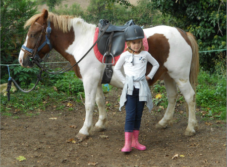 Centre equestre Equitation de loisirs pour tous