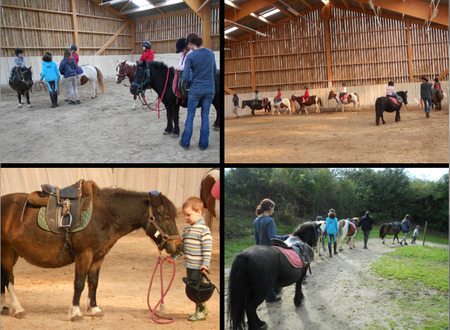 Centre equestre Equitation de loisirs pour tous
