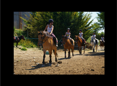 Centre equestre Equitation de loisirs pour tous